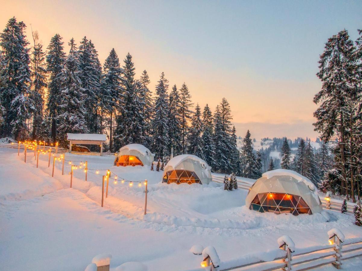 Mountain Glamp Hotel Zakopane Bagian luar foto